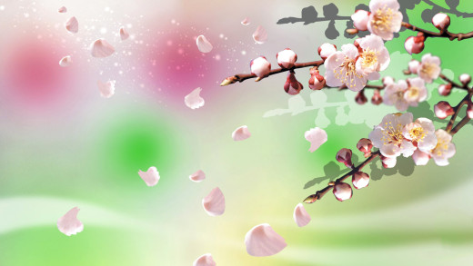 924001 (a): :1920x1080